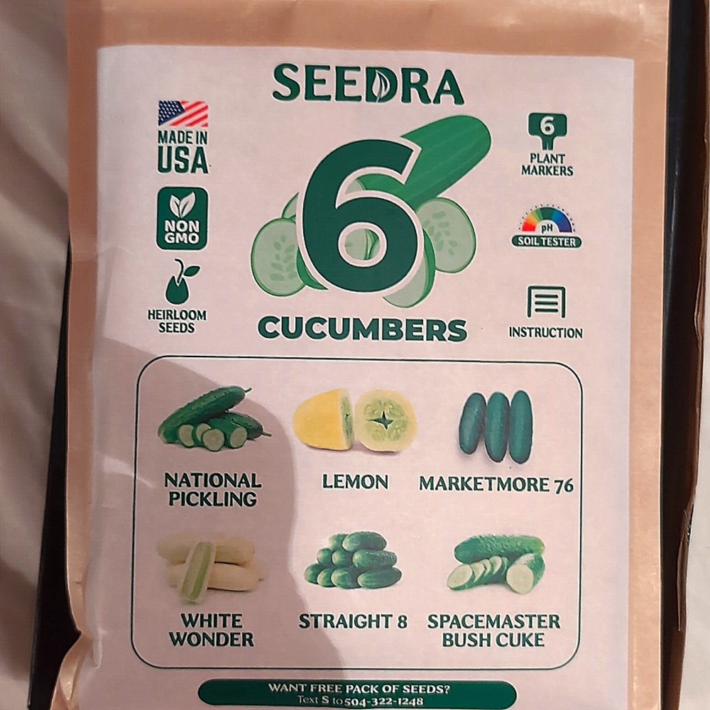 Seeds for cucumbers national pickling